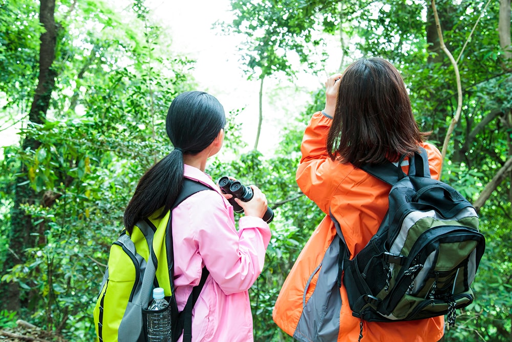 女性向け登山リュックの選び方