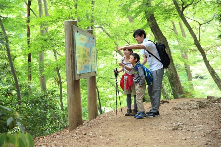 子どもと山登りに行くメリットは？