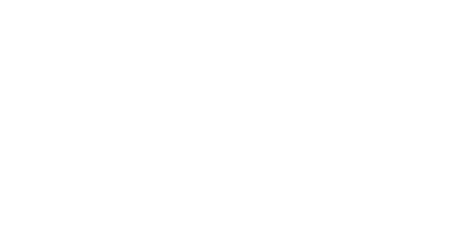 冥令星の2019年の運勢グラフ
