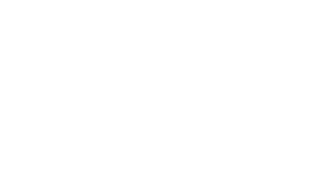 小令星の2019年の運勢グラフ
